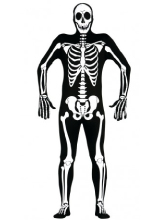 1581111781_esqueleto.jpg